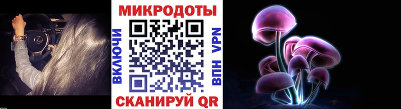 кракен онион  где купить   Ачхой-Мартан  Псилоцибиновые грибы GOLDEN TEACHER 